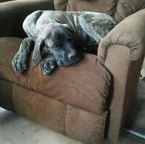 Hello - Picture 6 of 9